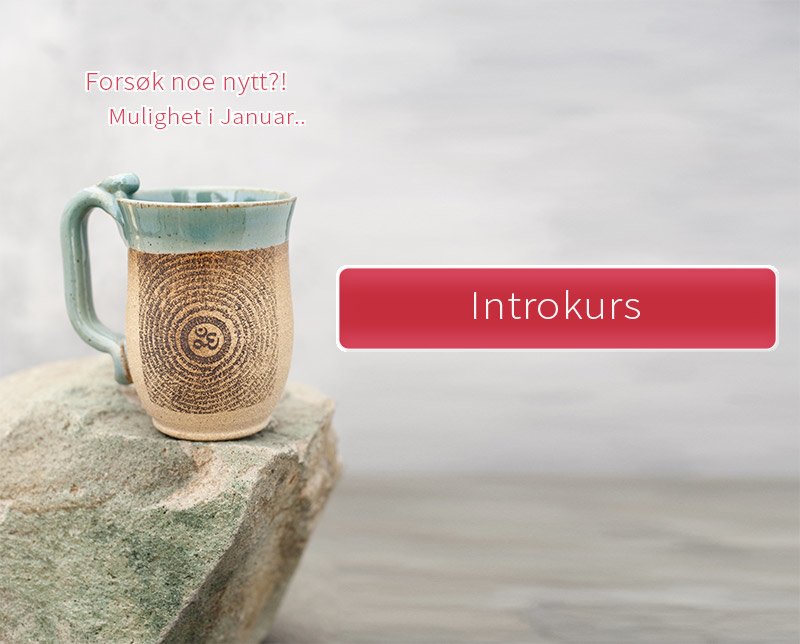 Introkurs 01 februar 2020